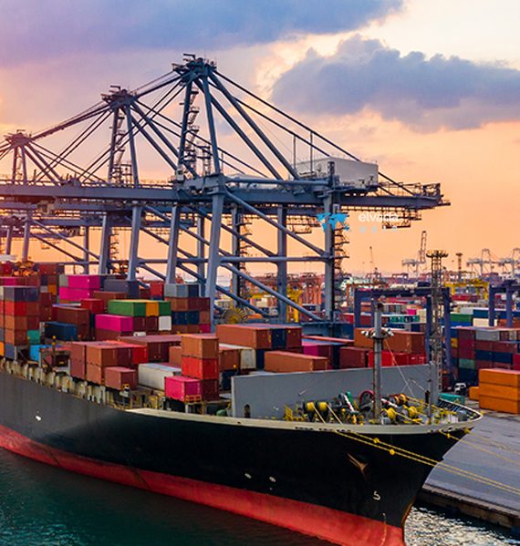 Sea Freight